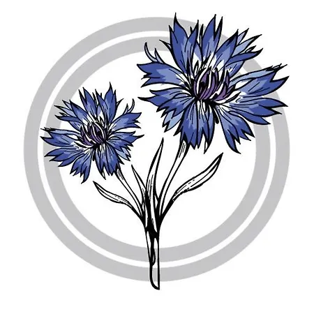 酒店 Kornblume 阿恩多夫