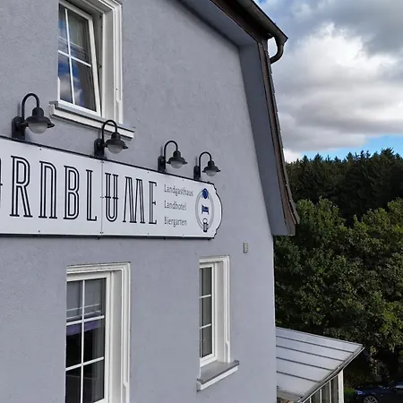 Kornblume Haundorf