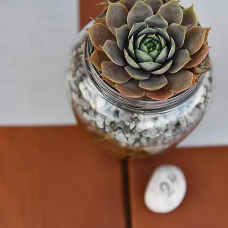 Kornblume Ξενοδοχείο